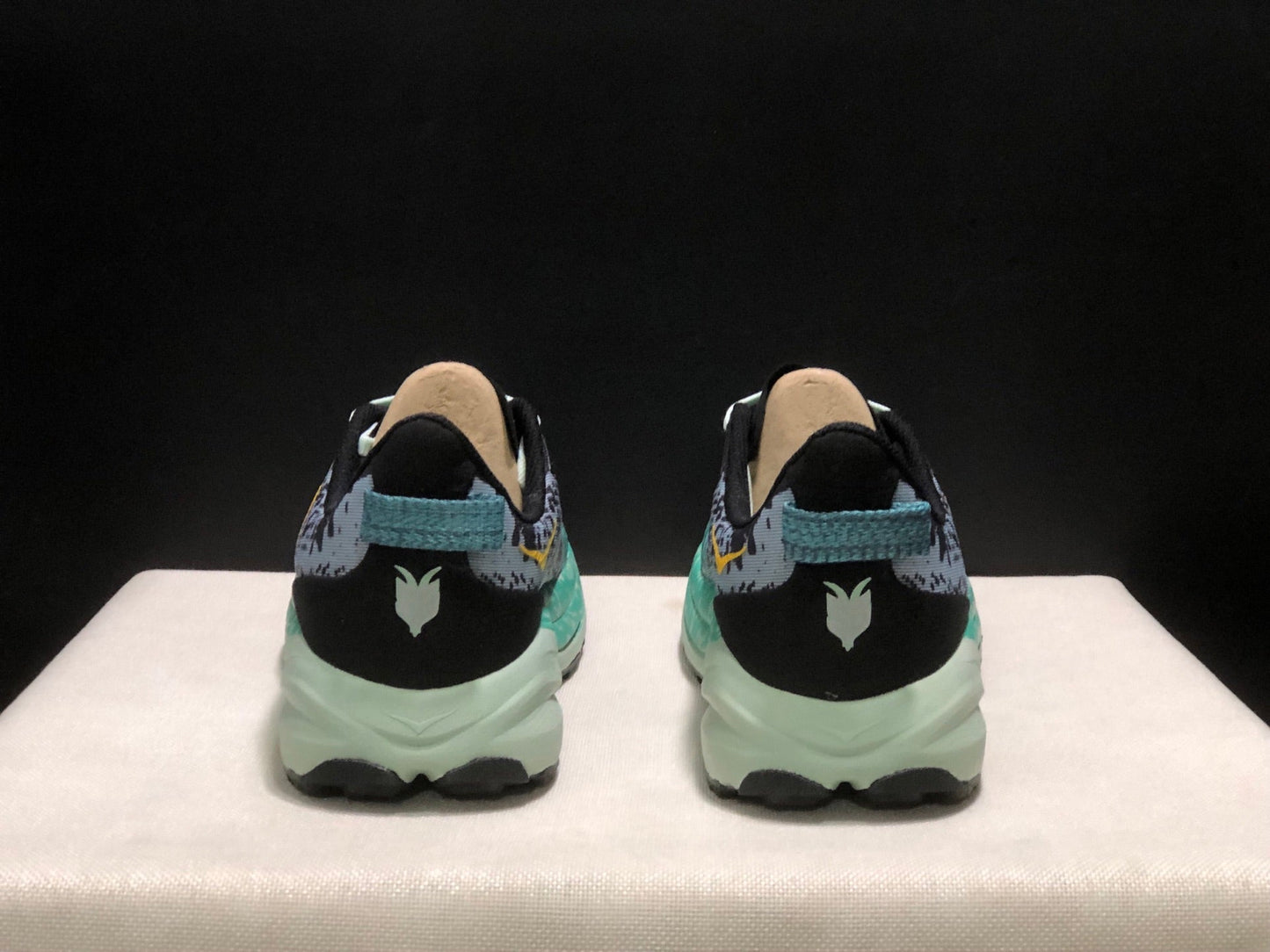 HOKA ONE ONE SPEED GOAT 6
